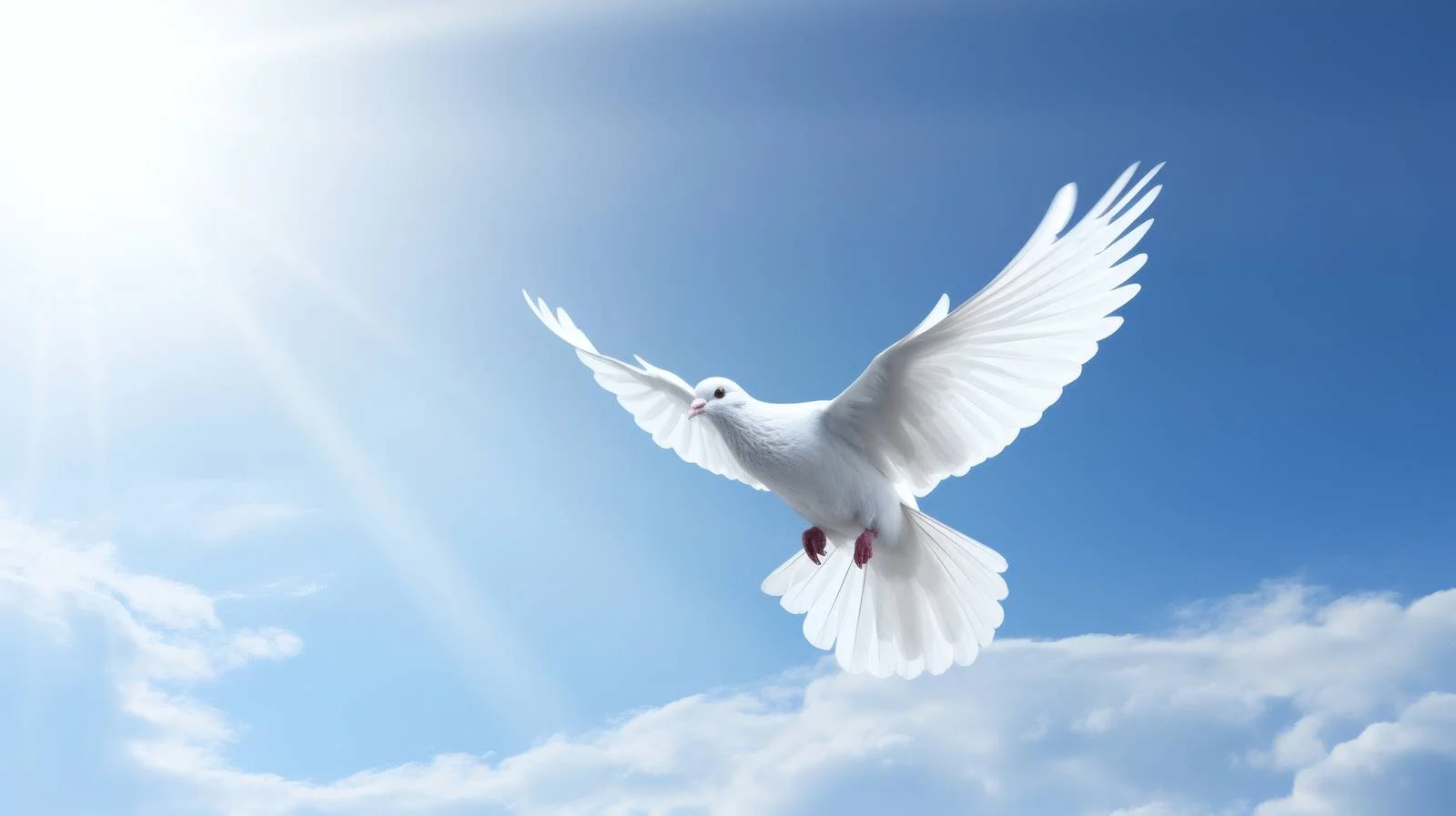 Graceful White Dove Soaring in Blue Sky — free download from Dotvec
