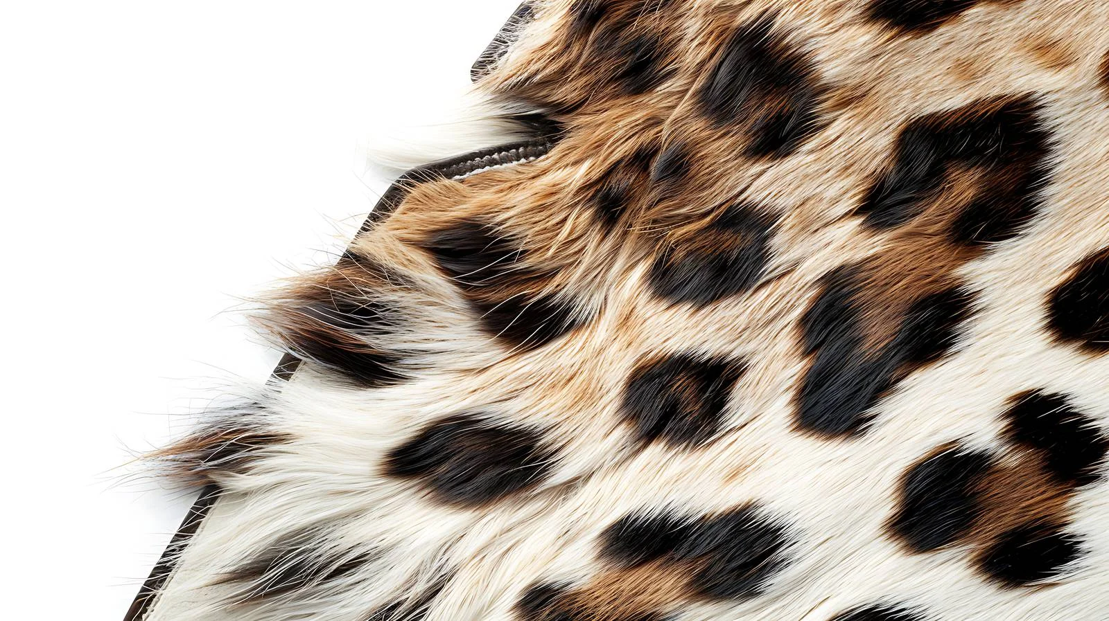 Exotic animal fur print on white background — free download from Dotvec