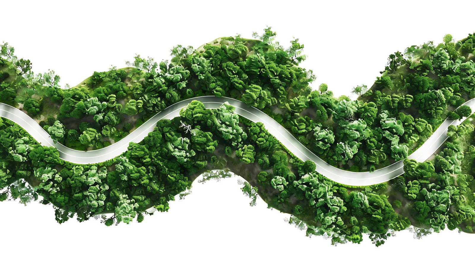 Scenic Route Through Verdant Woodland Aerially — free download from Dotvec