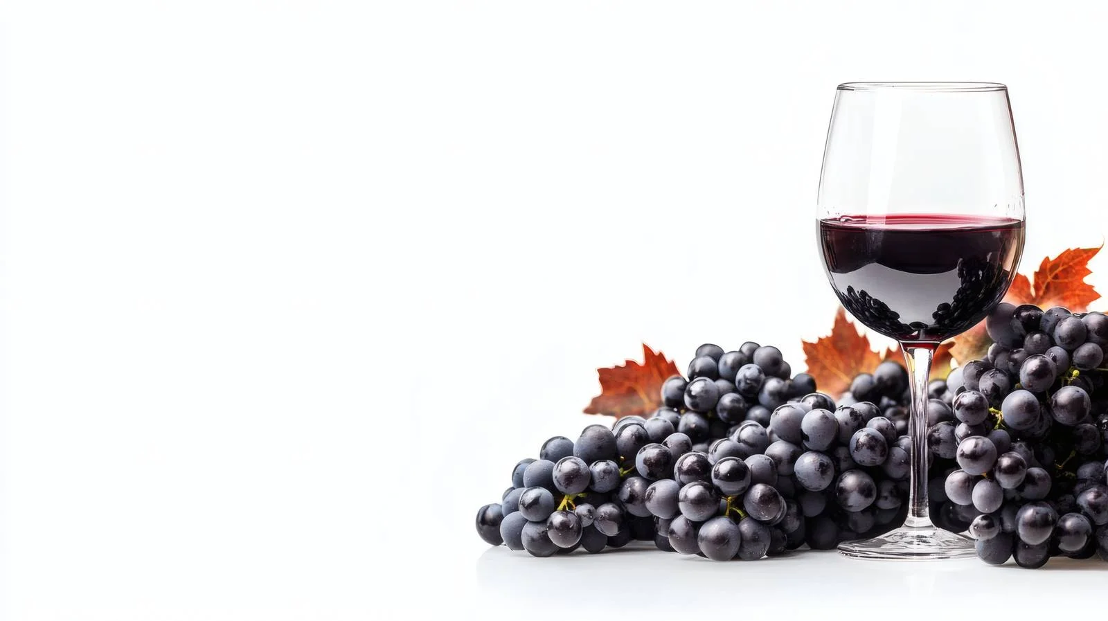 Elegant Wine Grapes on White Background — free download from Dotvec