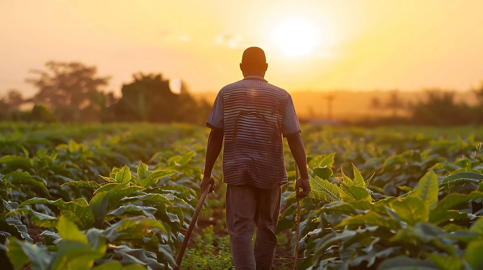 Cassava Farmer Walking with Hoe — free download from Dotvec