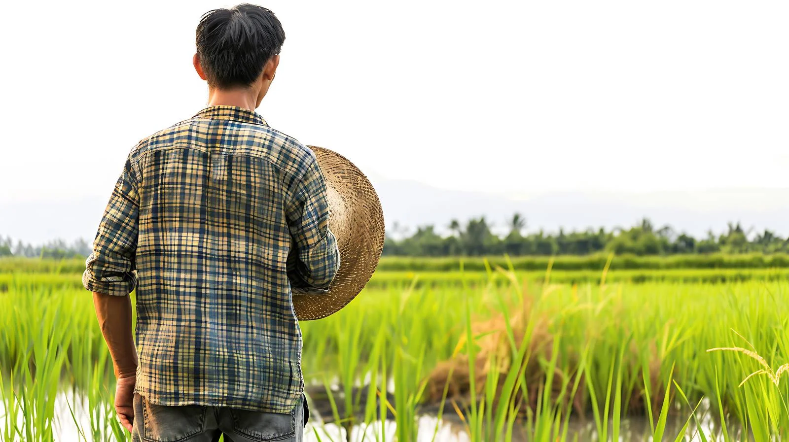 Rural Farmer Gazing in Field — free download from Dotvec