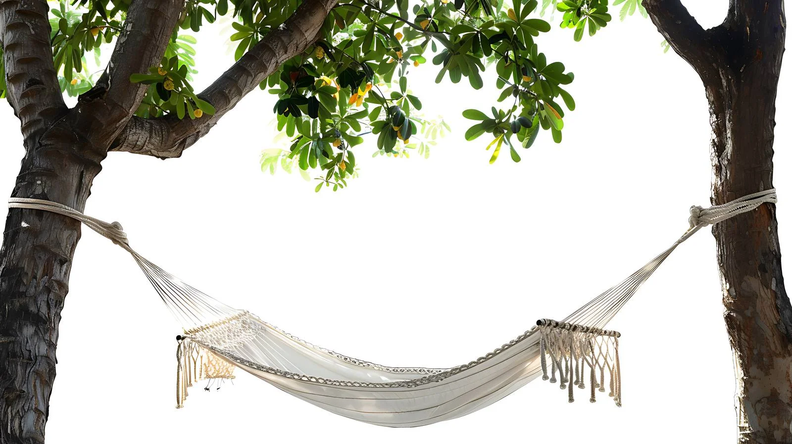 Tranquil Hammock between Two Trees — free download from Dotvec