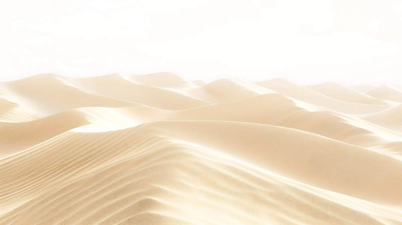 Abstract Summer Vacation Texture Close-Up — free download from Dotvec