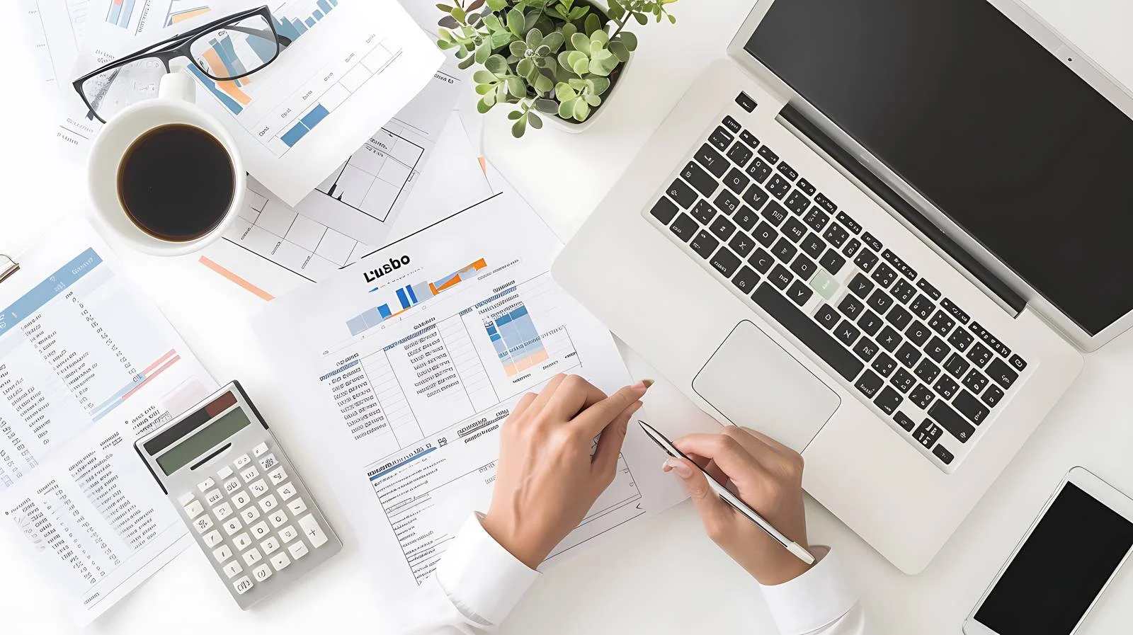 Financial Analysis by Accountant — free download from Dotvec