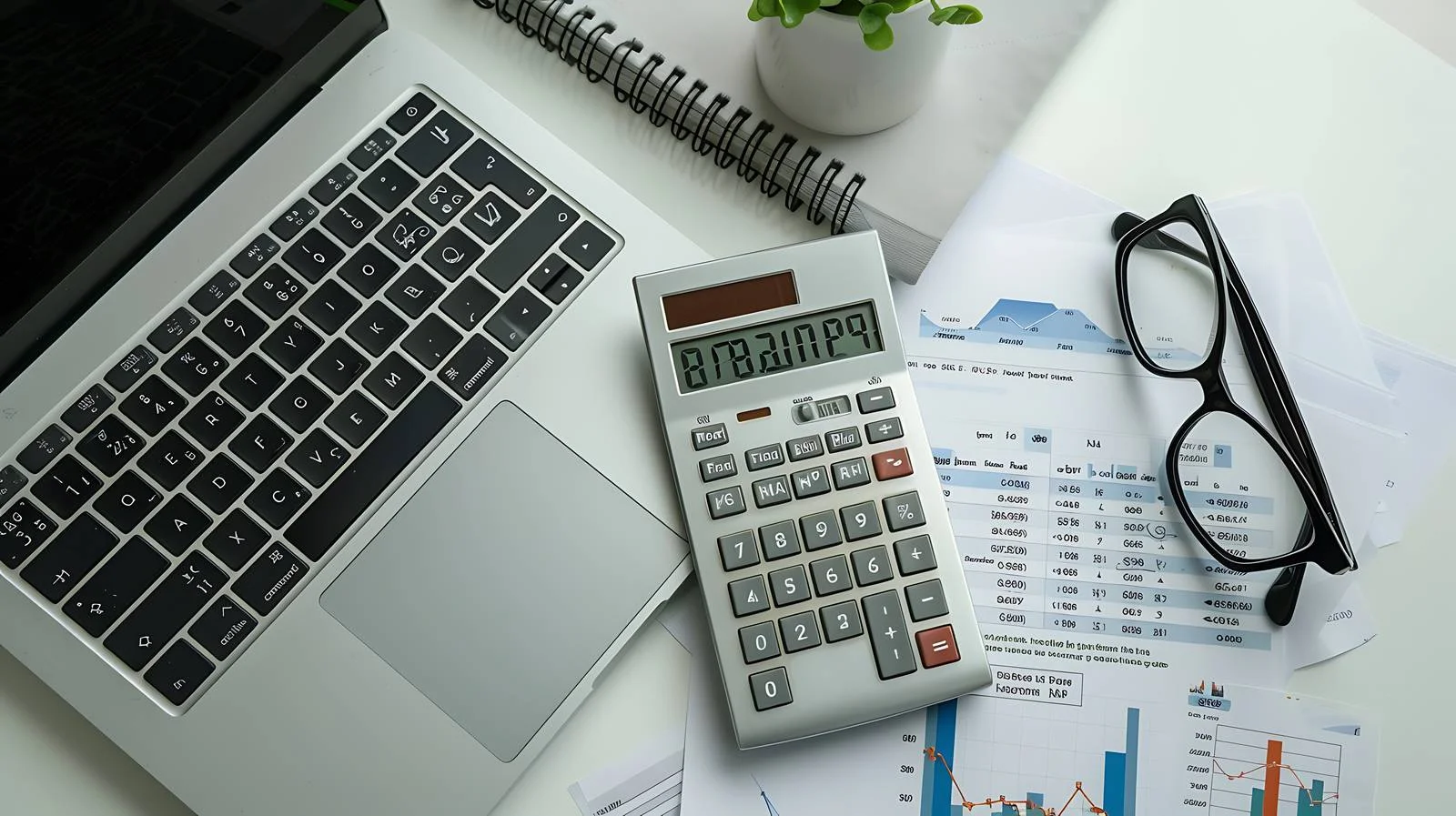 Professional Accounting Workstation Setup — free download from Dotvec