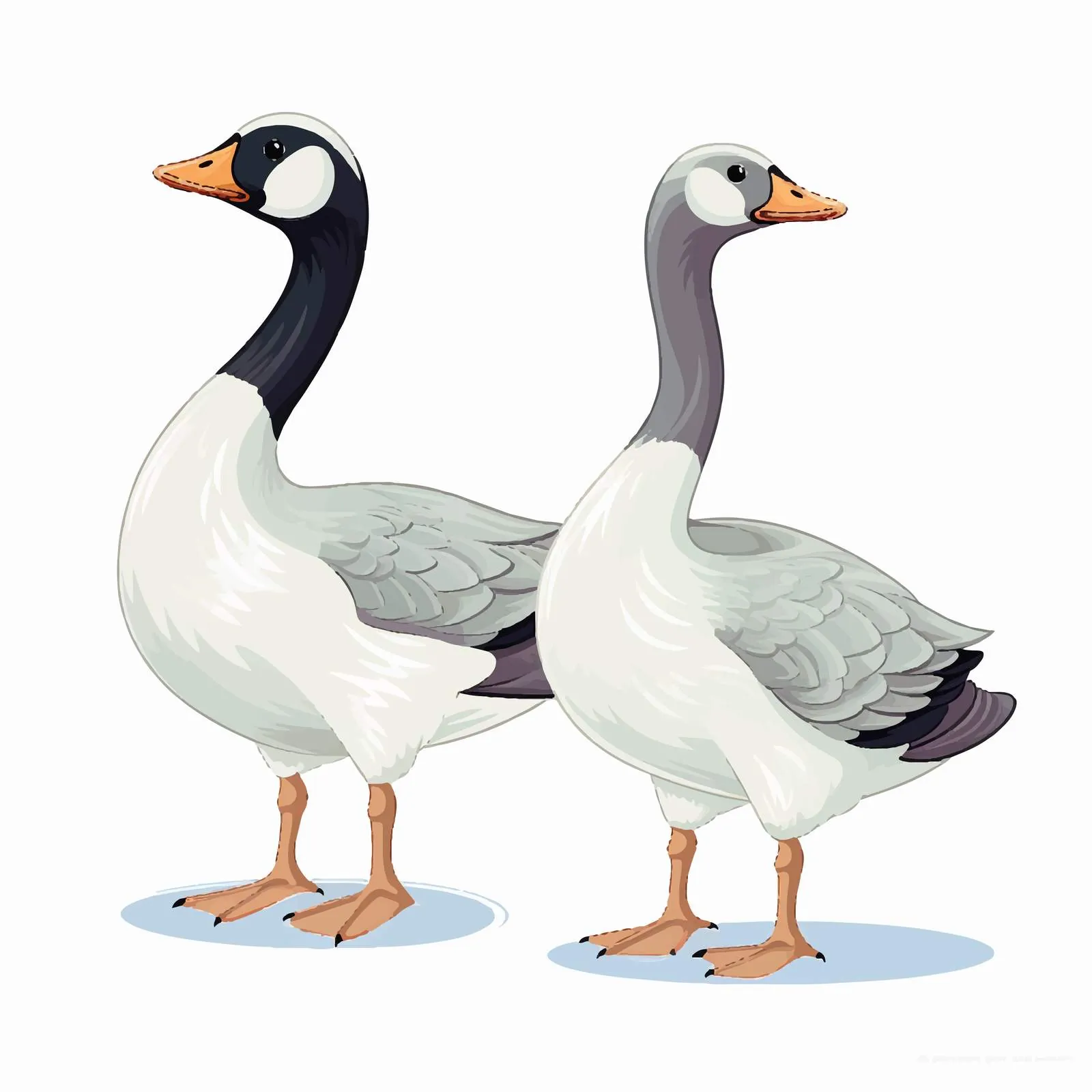 Adorable Goose and Duck Pair on White Background — free download from Dotvec
