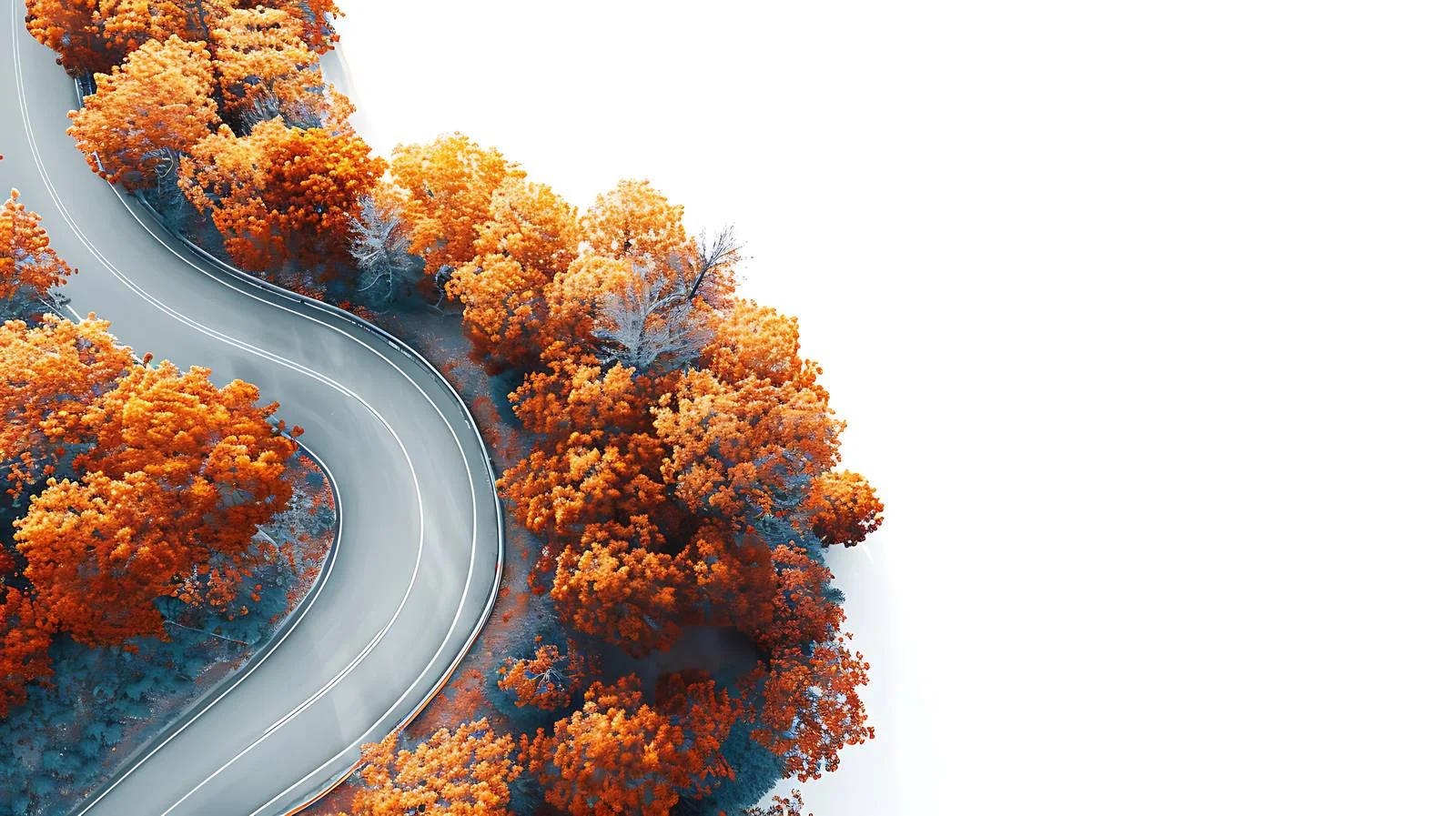 Autumn Aerial View of Winding Road — free download from Dotvec