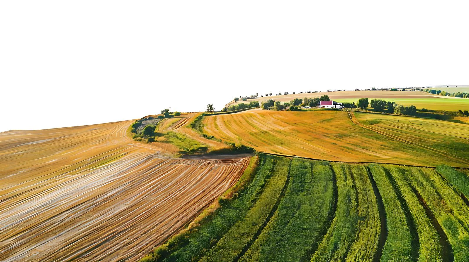 Scenic Aerial View of Rural Landscape — free download from Dotvec