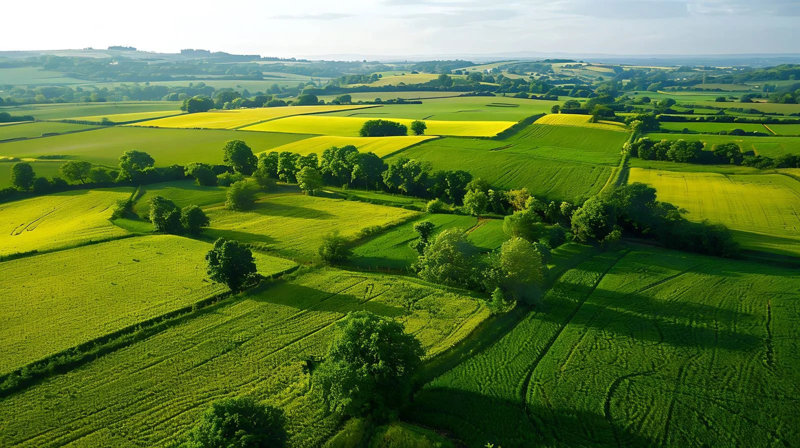 Captivating Rural Scenery from A Bird's Eye View — free download from Dotvec