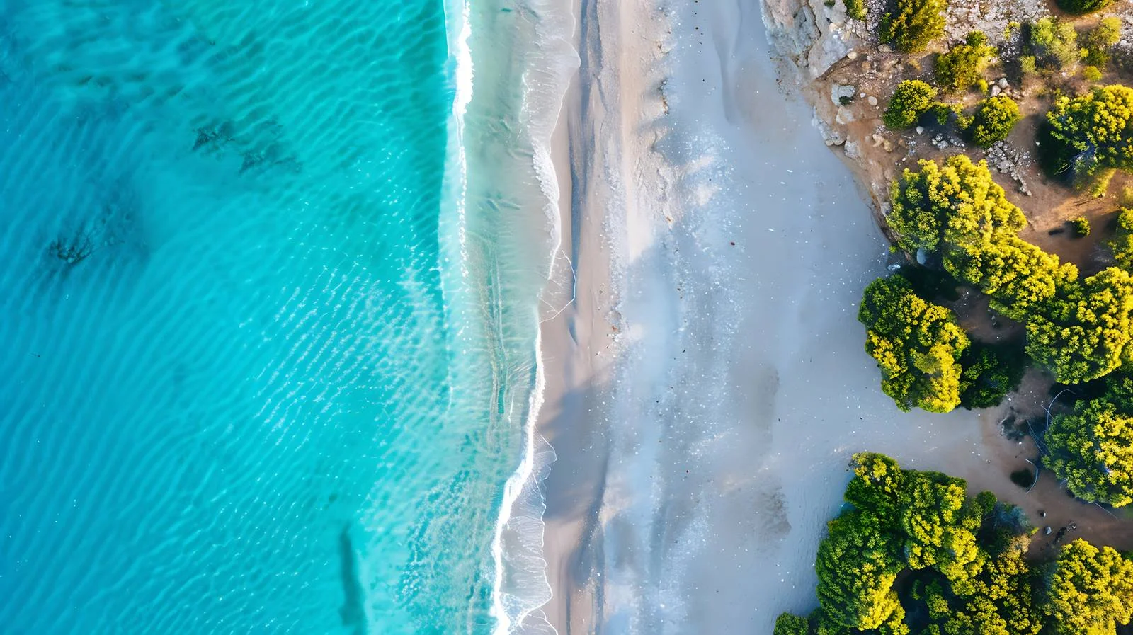 Tropical Beach Aerial Drone View — free download from Dotvec