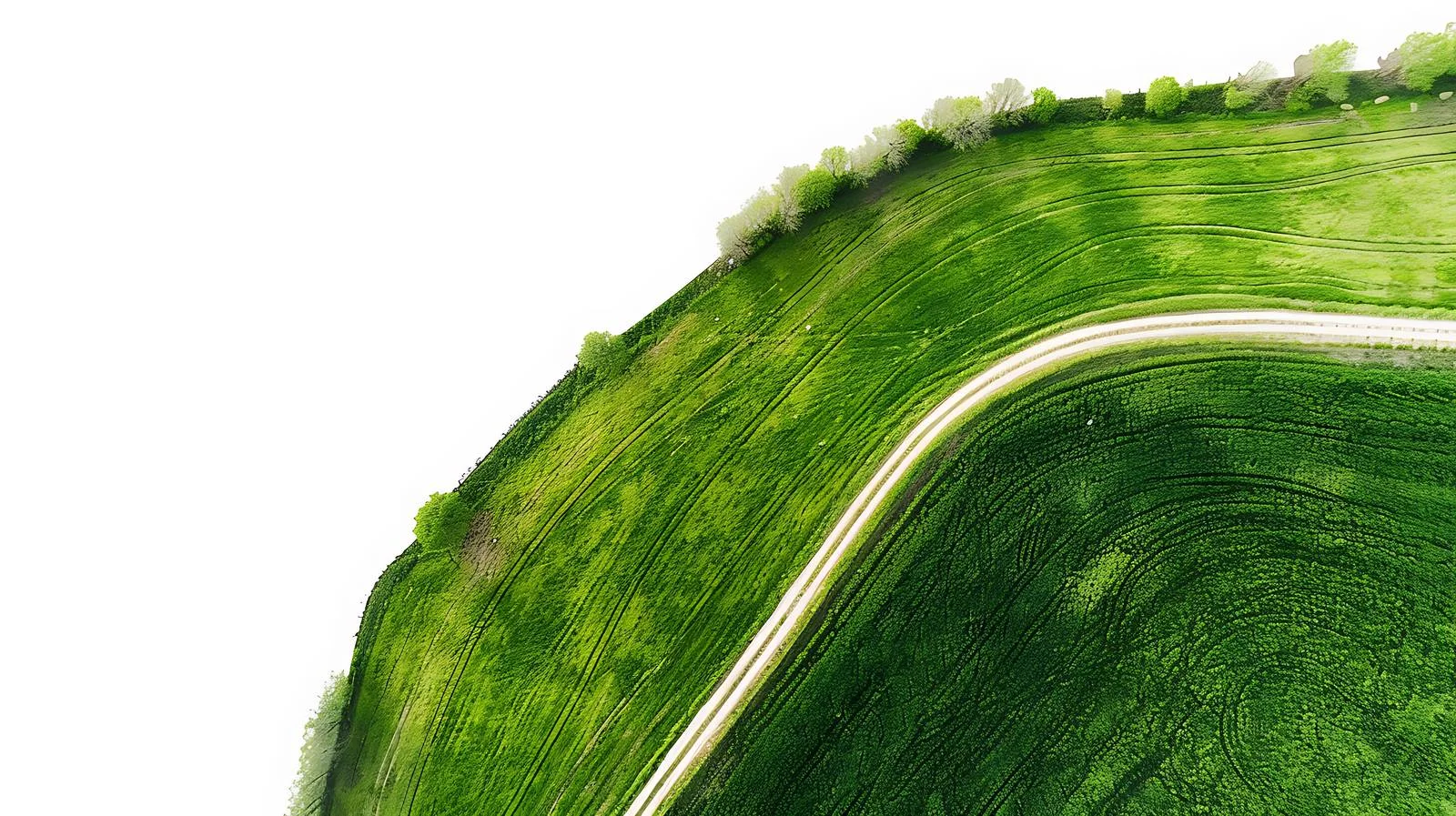 Spring Fields Seen from Aerial Drone — free download from Dotvec