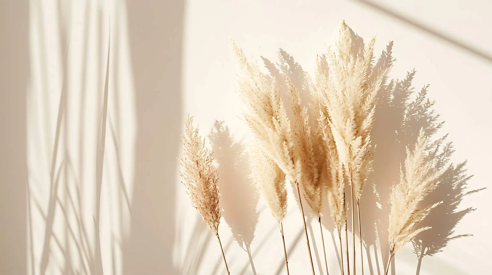 Minimalist Beige Pampas Grass Reeds Plant — free download from Dotvec