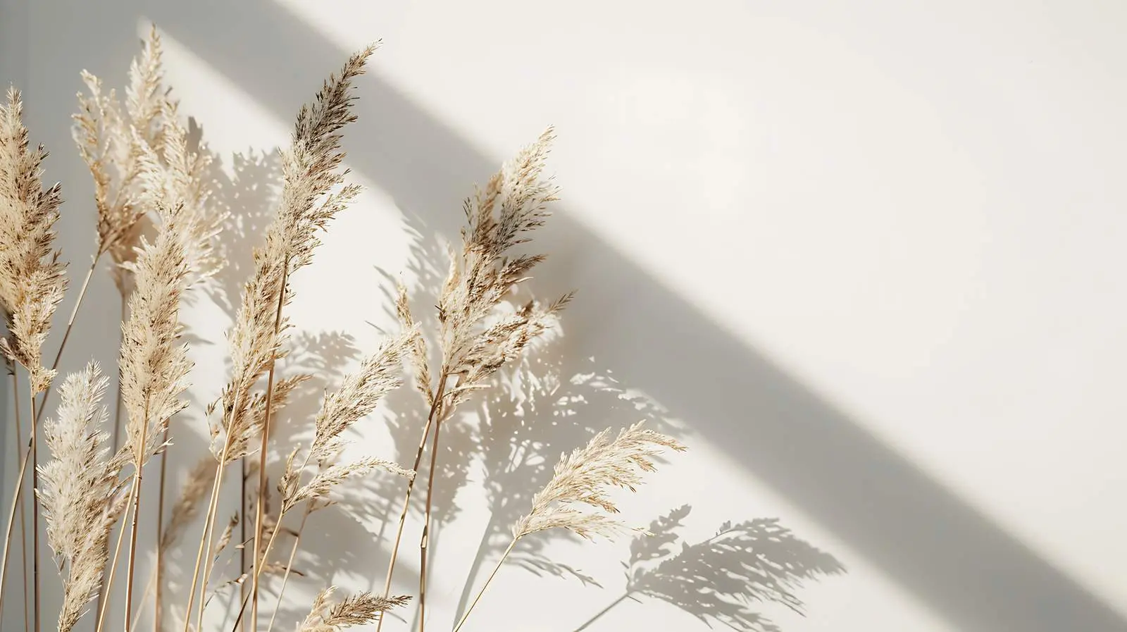 Dried Beige Grass Reeds in Soft Lighting — free download from Dotvec