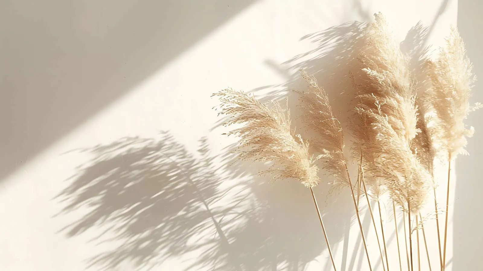 Dried Beige Pampas Grass Aesthetic Decor — free download from Dotvec