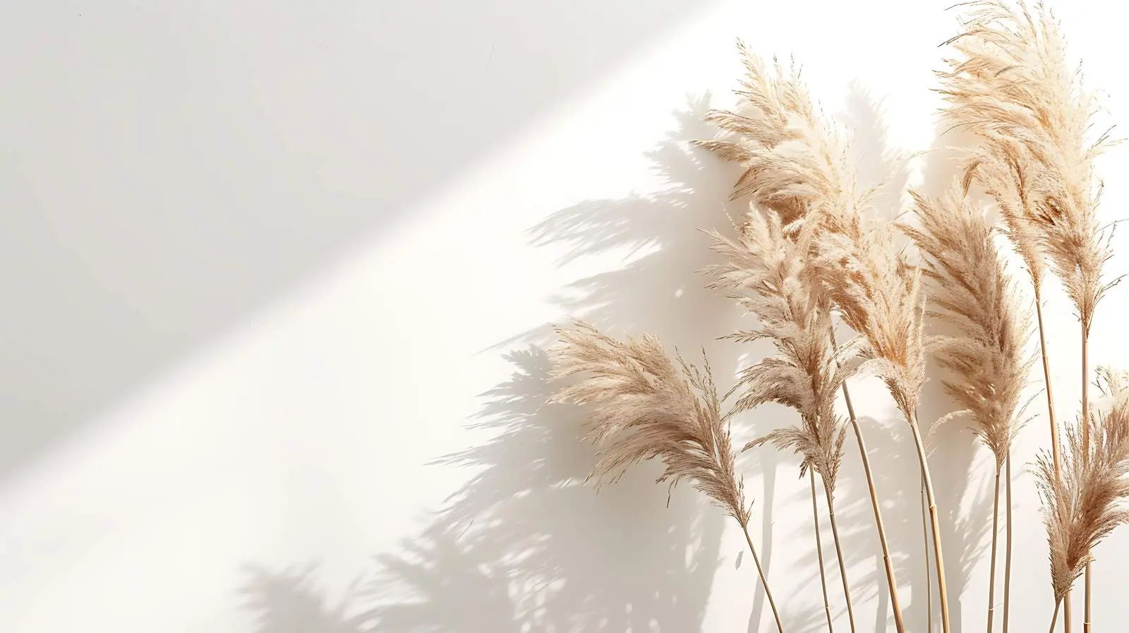 Minimal Aesthetic Dried Beige Pampas Grass Reeds — free download from Dotvec