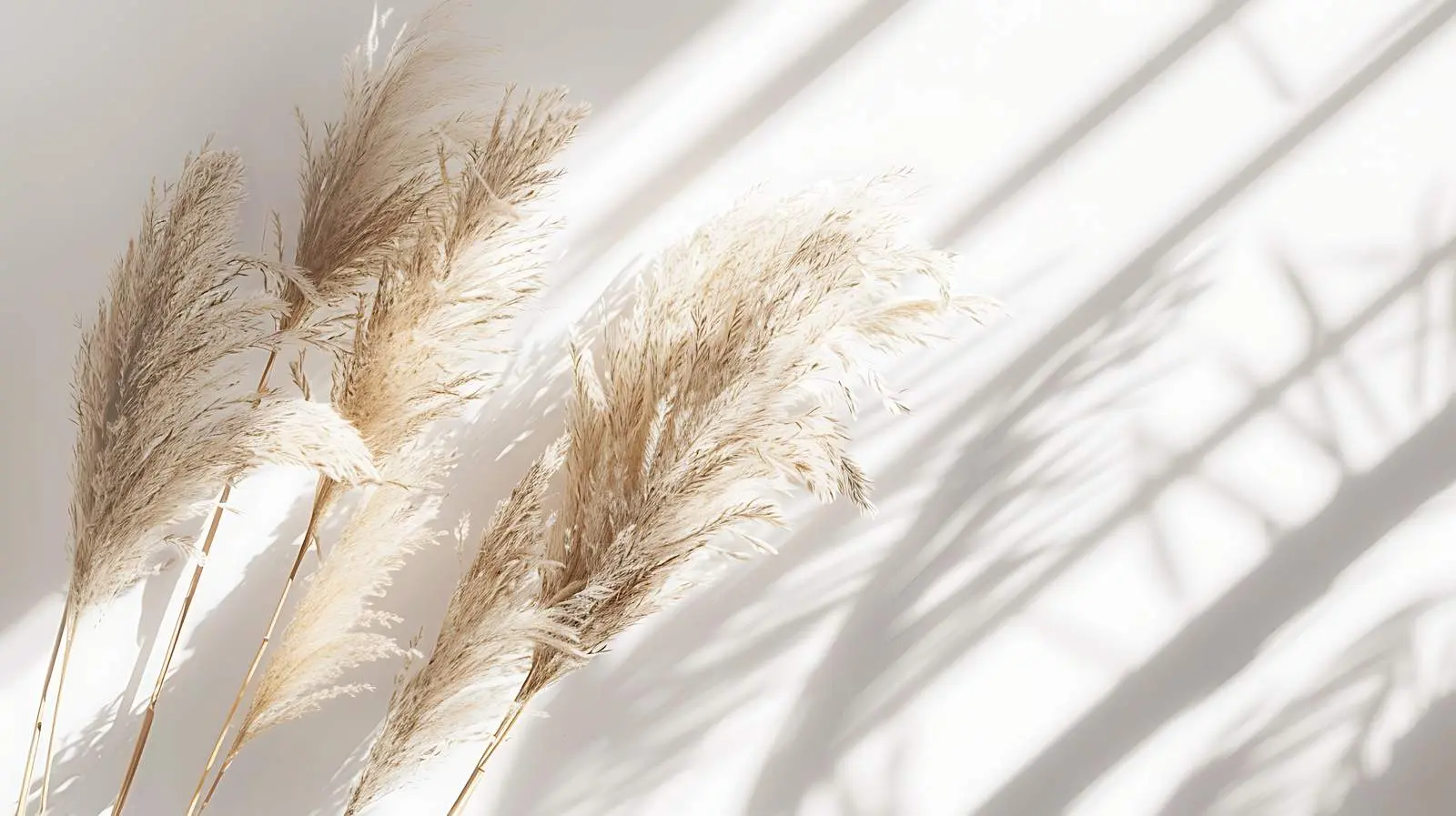 Aesthetic Dried Beige Pampas Grass Reeds — free download from Dotvec