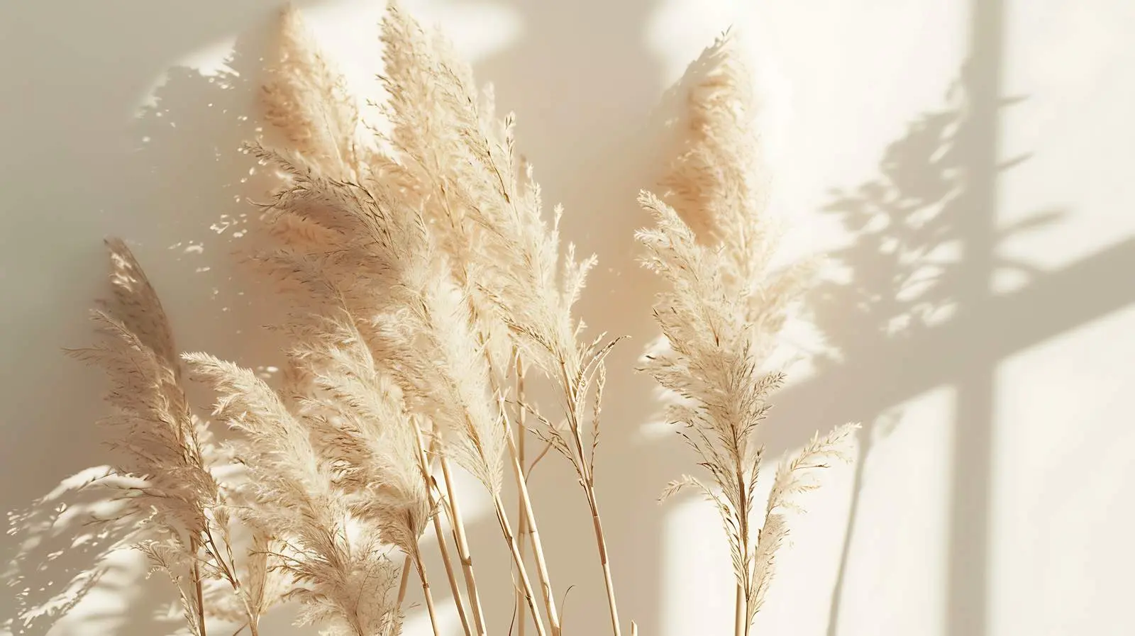 Aesthetic Dried Beige Pampas Grass Reeds – free neutral palette image from Dotvec