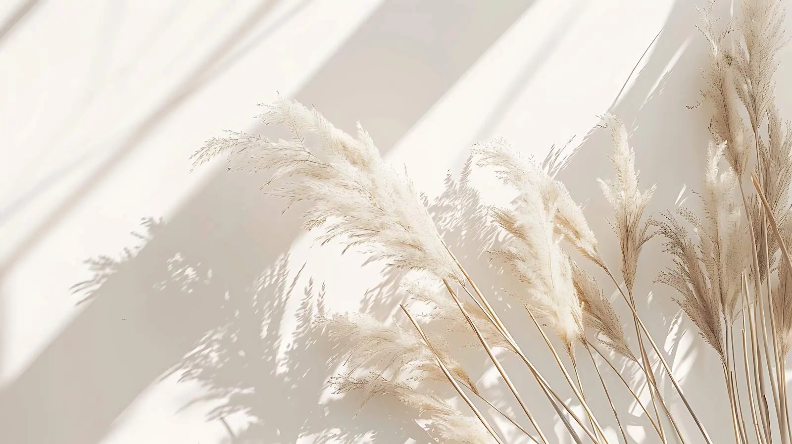 Aesthetic Dried Beige Pampas Grass Reeds — free download from Dotvec