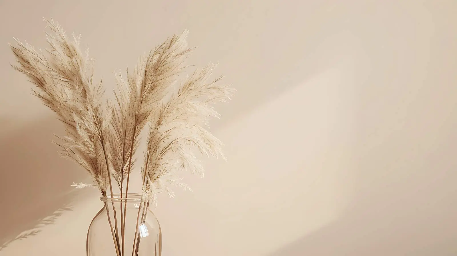 Dried Grass Stems in Clay Jug on White Background — free download from Dotvec