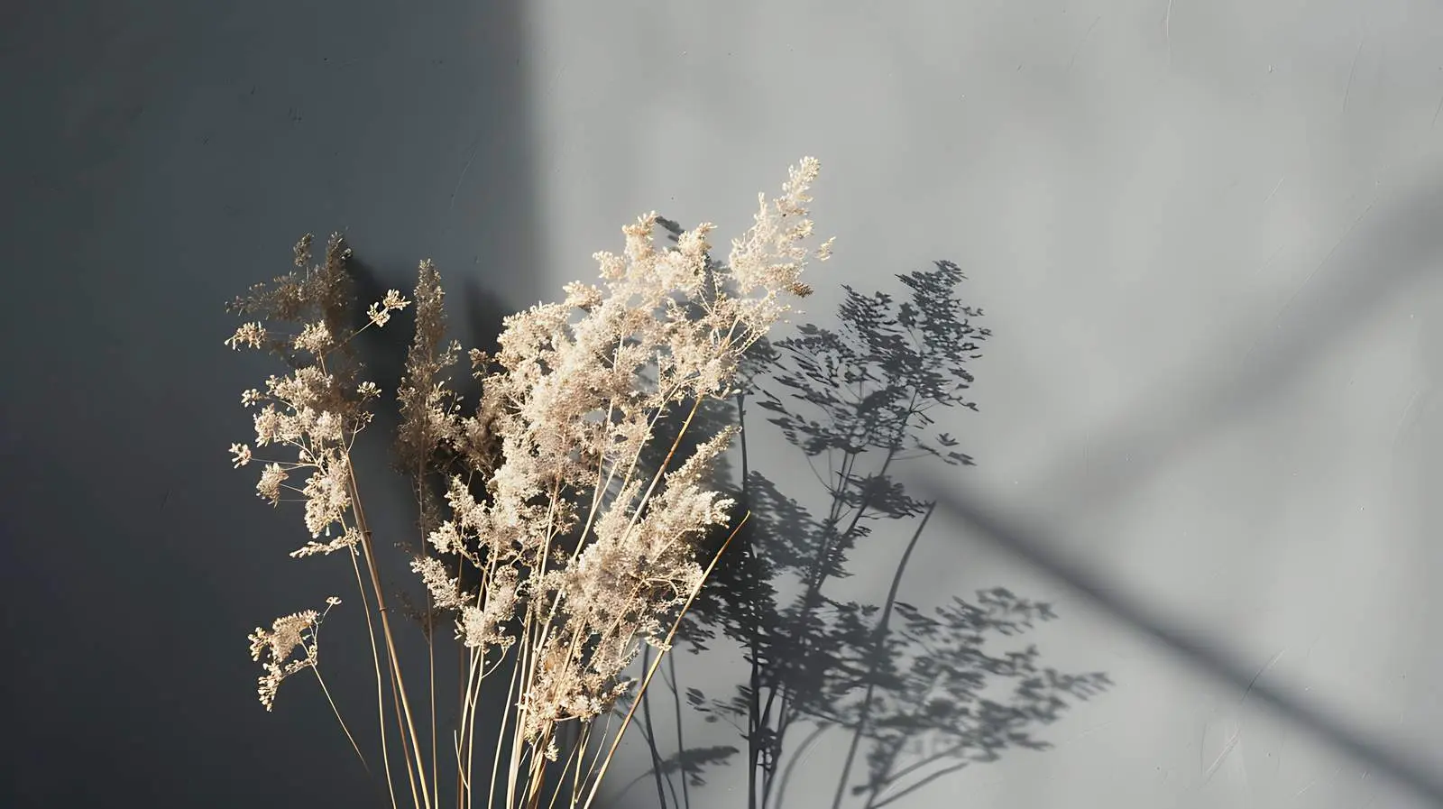 Aesthetic Dried Grass Stems in Sunlight — free download from Dotvec