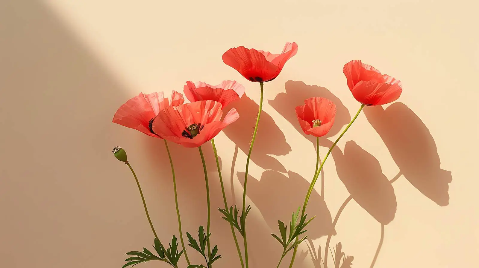 Elegant Poppy Stems in Warm Sunlight — free download from Dotvec
