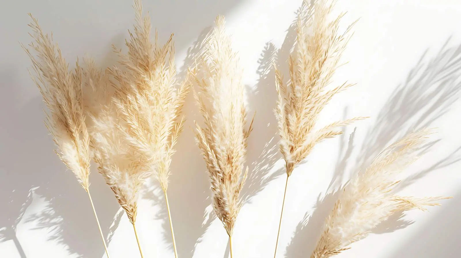 Dried Pampas Grass Aesthetic Flower Arrangement — free download from Dotvec