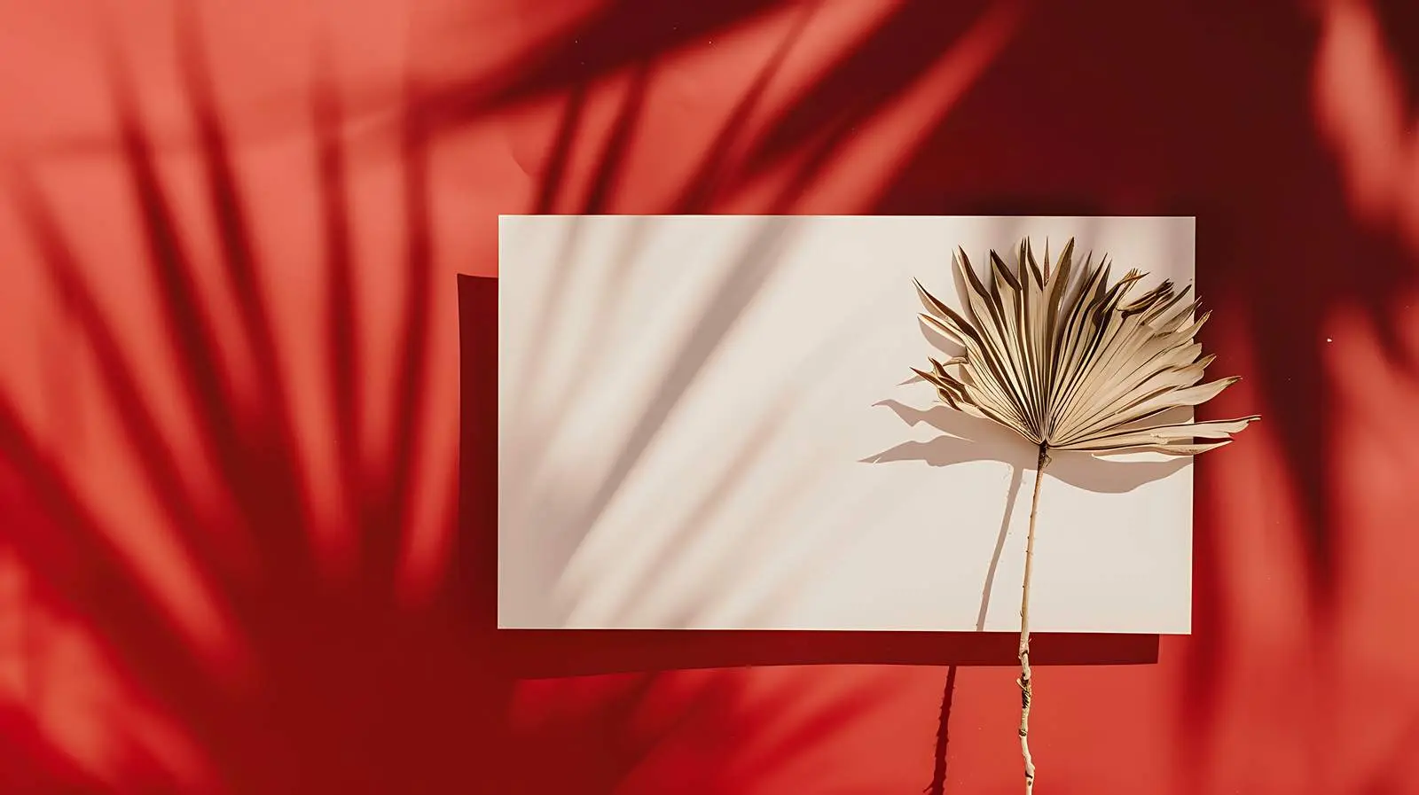 Luxury Bohemian Invitation Card Template — free download from Dotvec