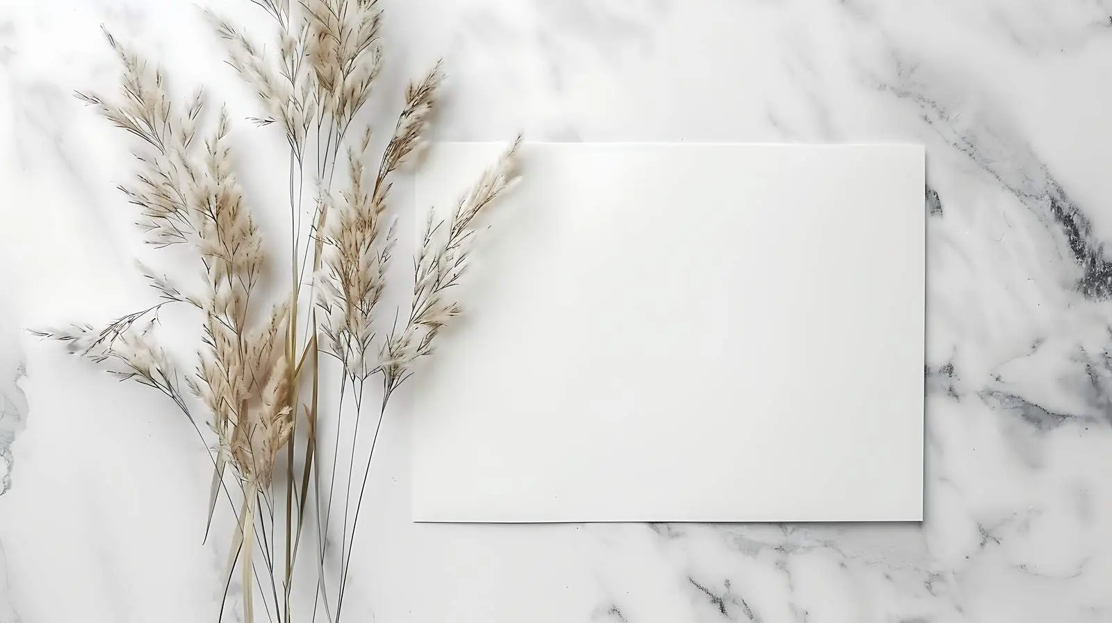 Luxury Bohemian Branding Invitation Card Template — free download from Dotvec