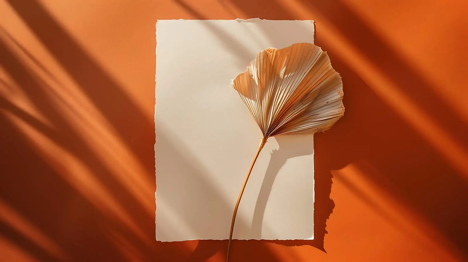 Aesthetic Luxury Bohemian Invitation Card Template — free download from Dotvec