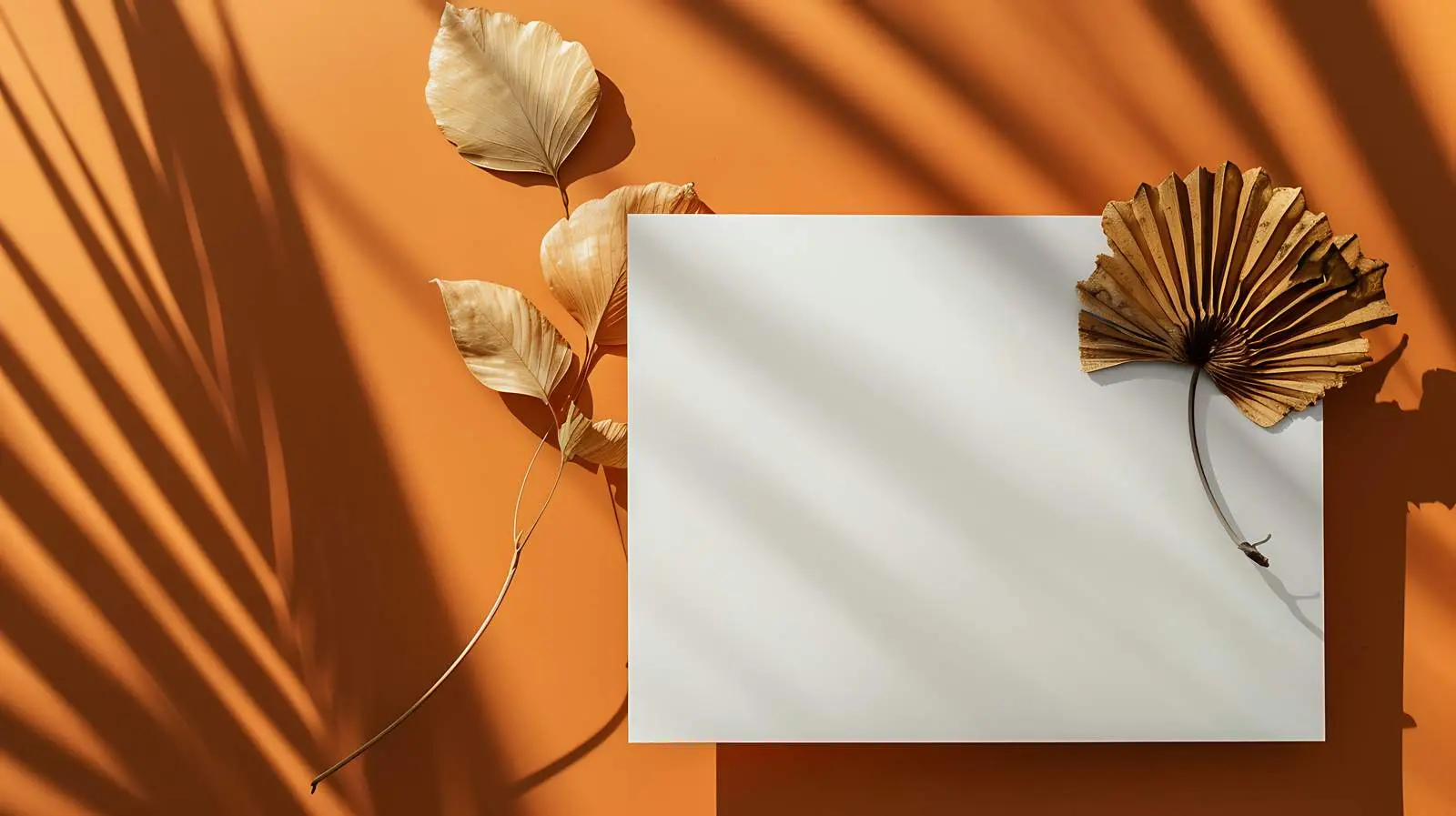 Luxury Bohemian Branding Invitation Card Template — free download from Dotvec