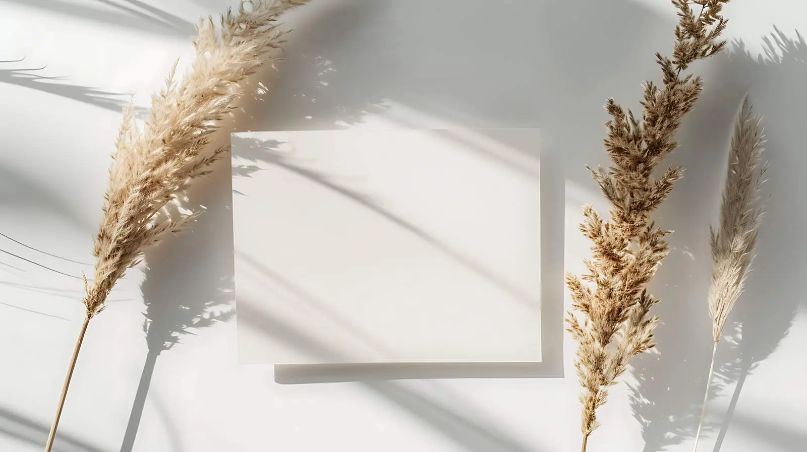 Luxury Bohemian Branding Invitation Card Template — free download from Dotvec