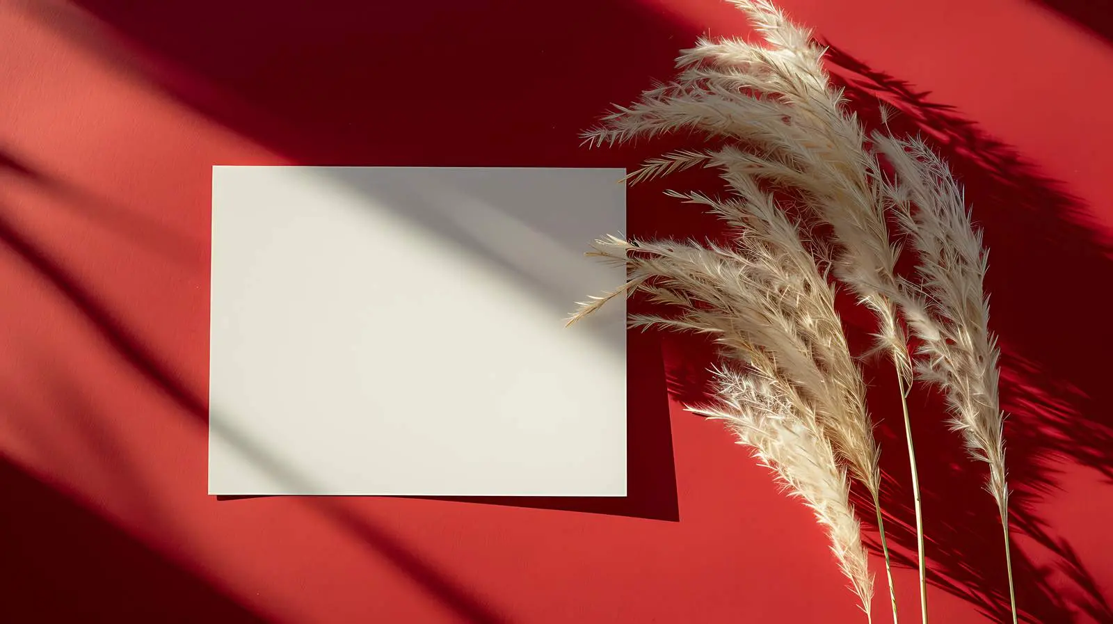 Luxury Bohemian Branding Invitation Cards — free download from Dotvec