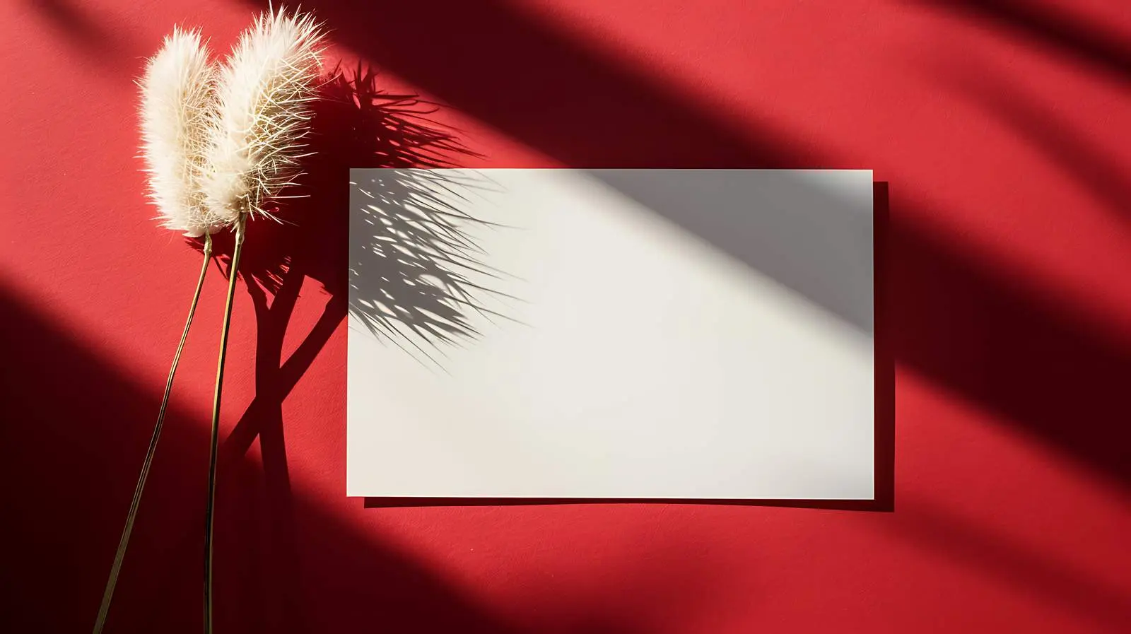 Luxury Bohemian Branding Invitation Cards — free download from Dotvec