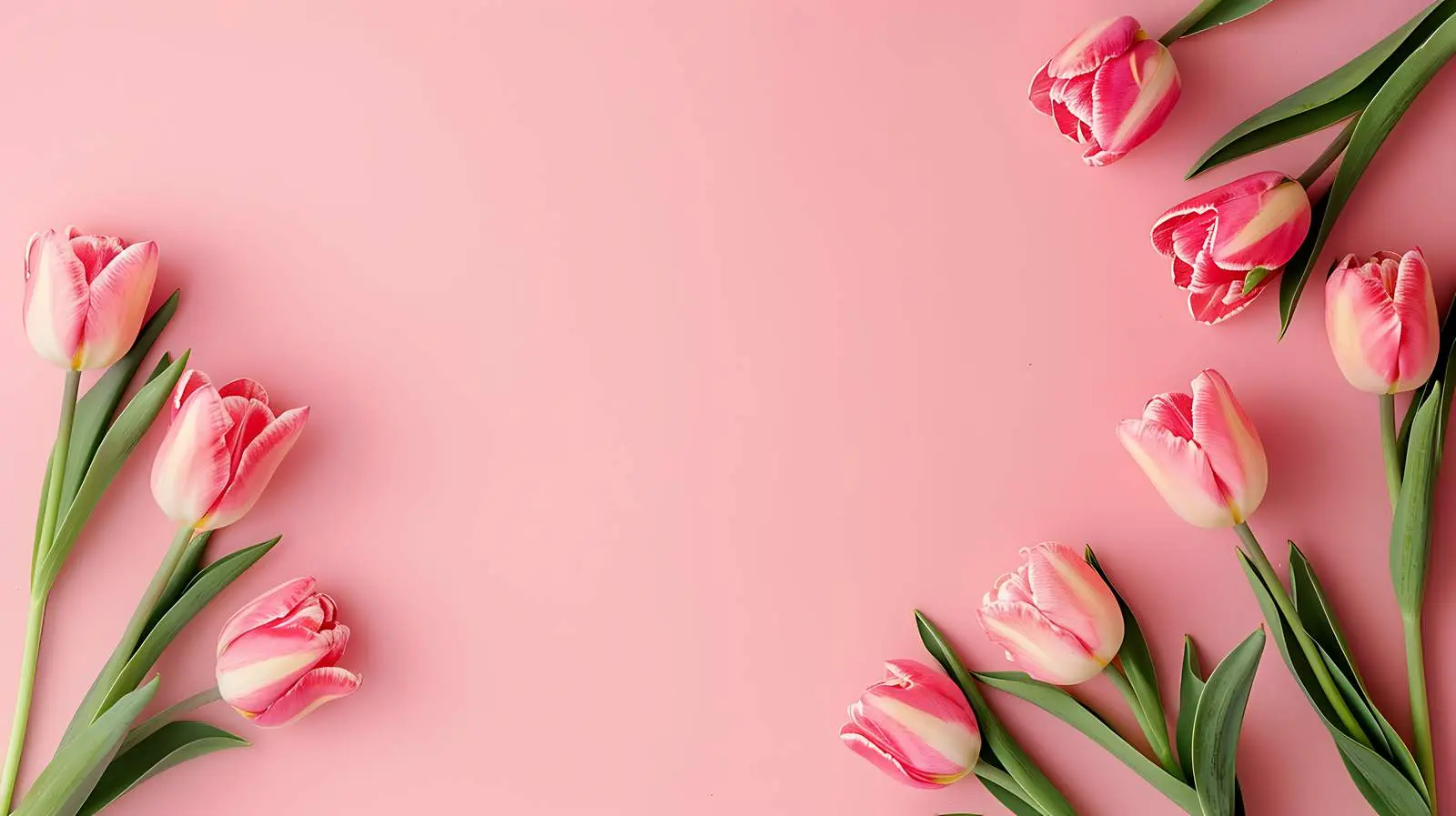 Minimalist Tulip Floral Composition in Blank Frame – free wall decoration image from Dotvec