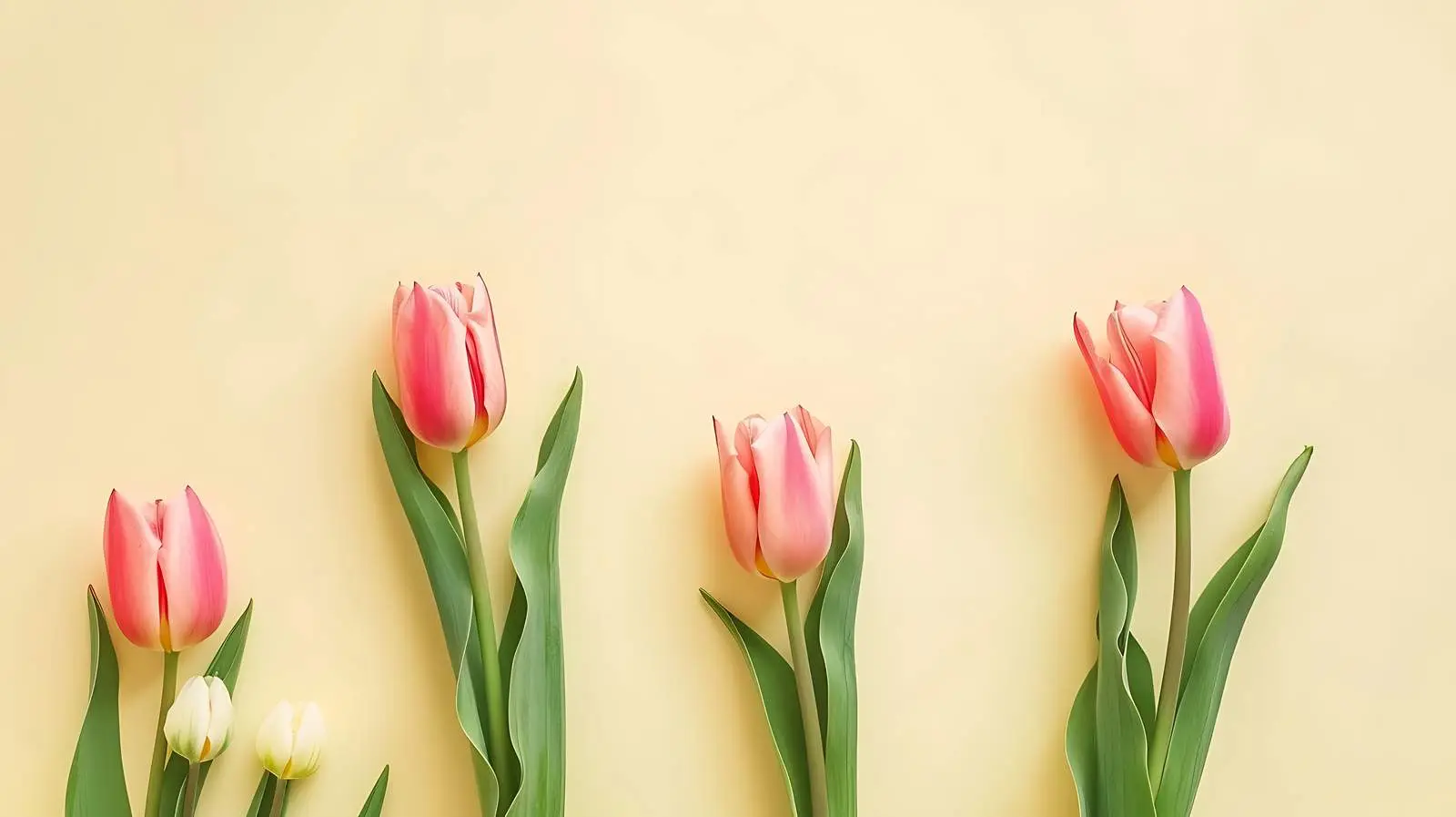 Minimalist Floral Composition with Tulip Frame — free download from Dotvec