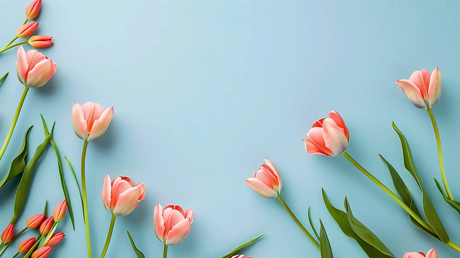 Aesthetic Minimal Floral Composition with Tulip Frame — free download from Dotvec