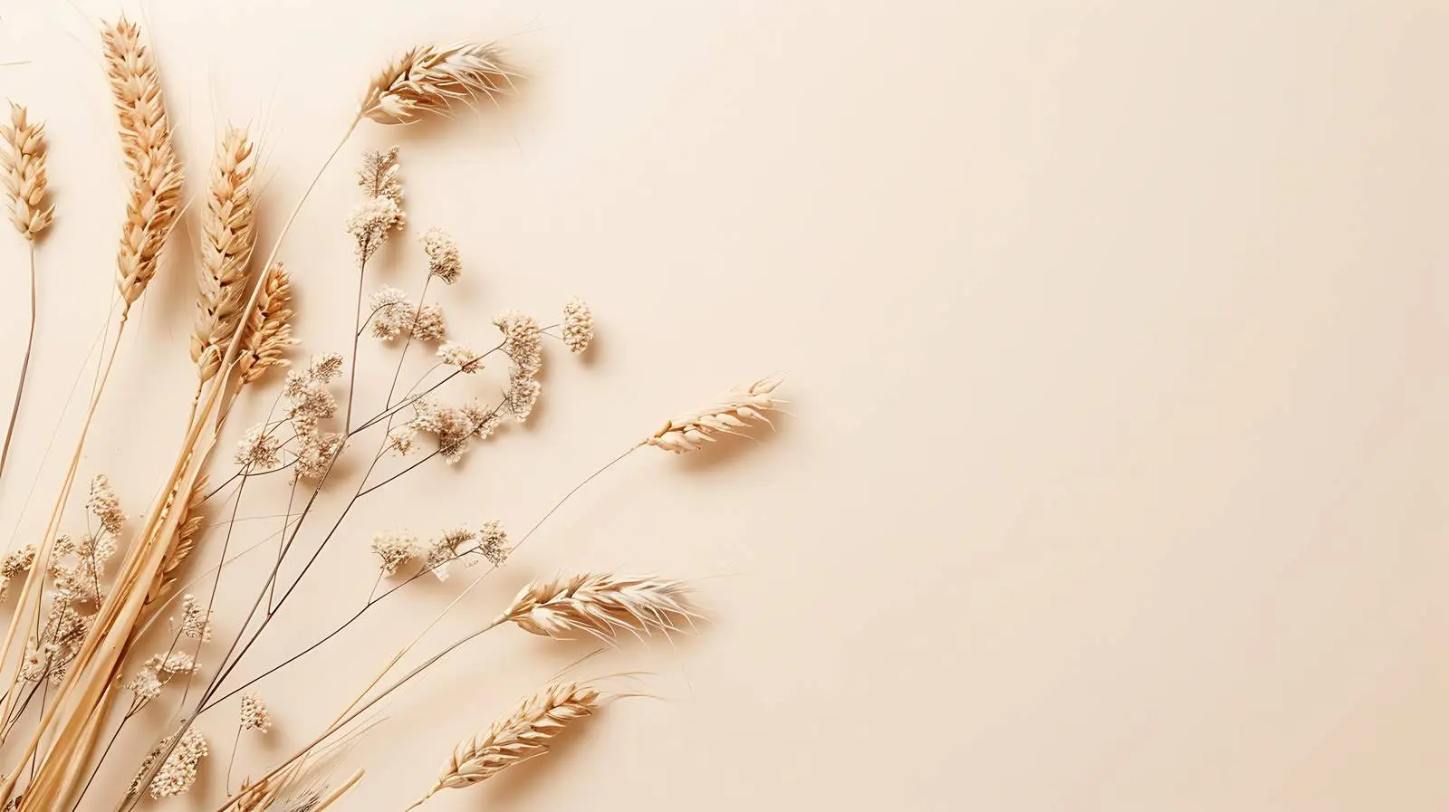 Minimal Floral Composition with Wheat Frame — free download from Dotvec