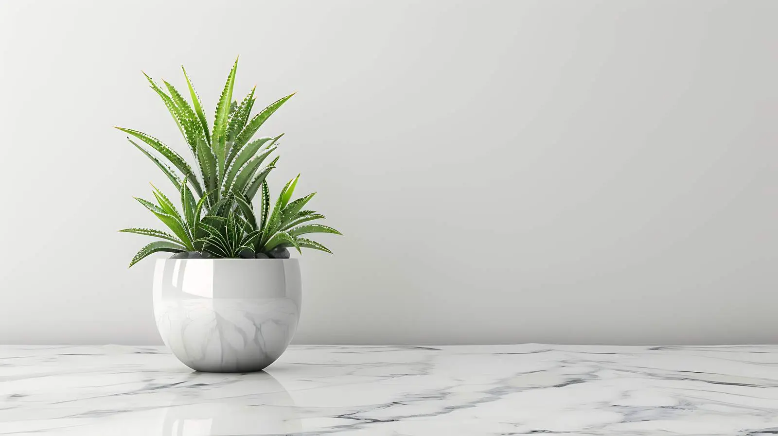 Minimal Interior Design with Home Plant in Marble Pot – free minimalist home image from Dotvec