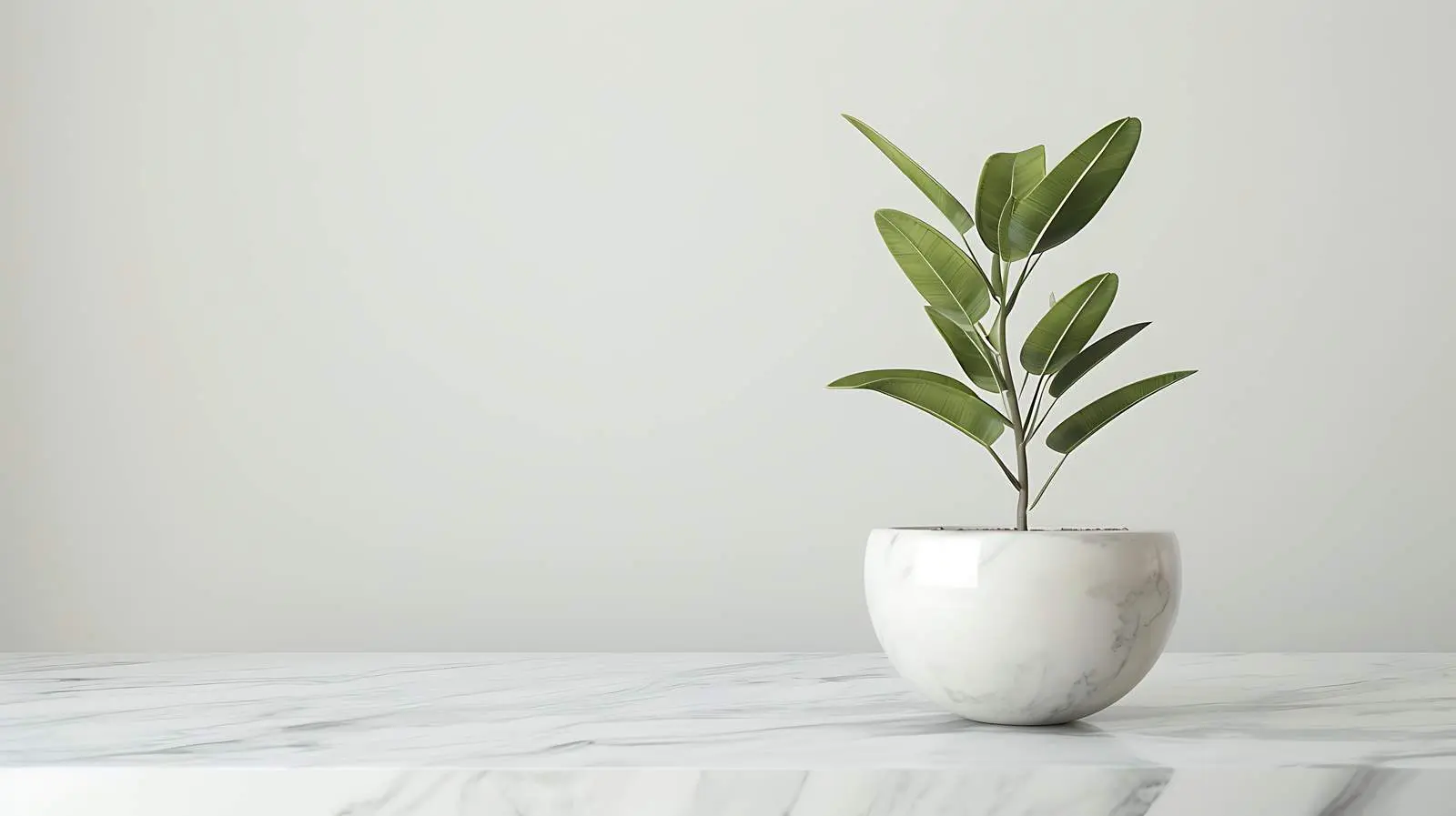 Minimalist Home Interior with Marble and Plant — free download from Dotvec