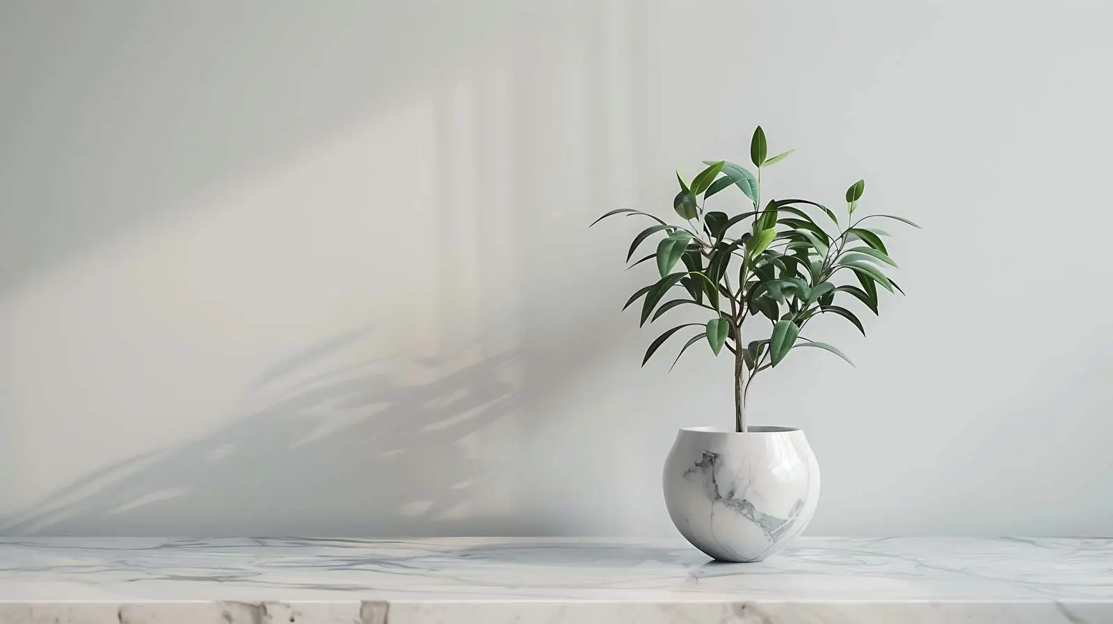 Aesthetic Minimal Interior Design with Home Plant — free download from Dotvec