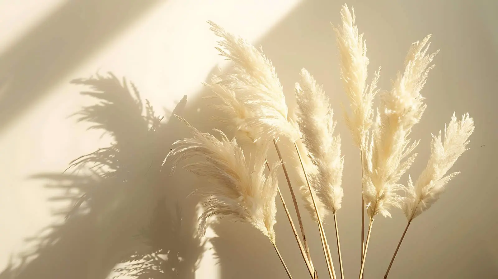 Aesthetic Minimal Interior with Pampas Grass Bouquet — free download from Dotvec