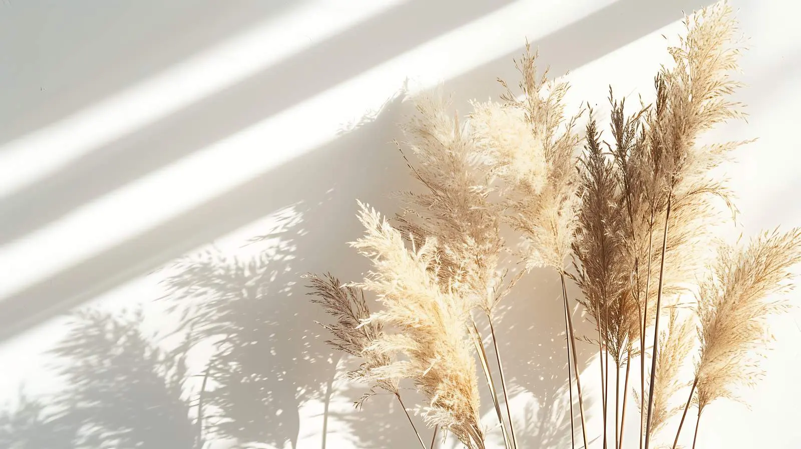 Aesthetic Minimal Interior with Pampas Grass Bouquet – free luxury living image from Dotvec