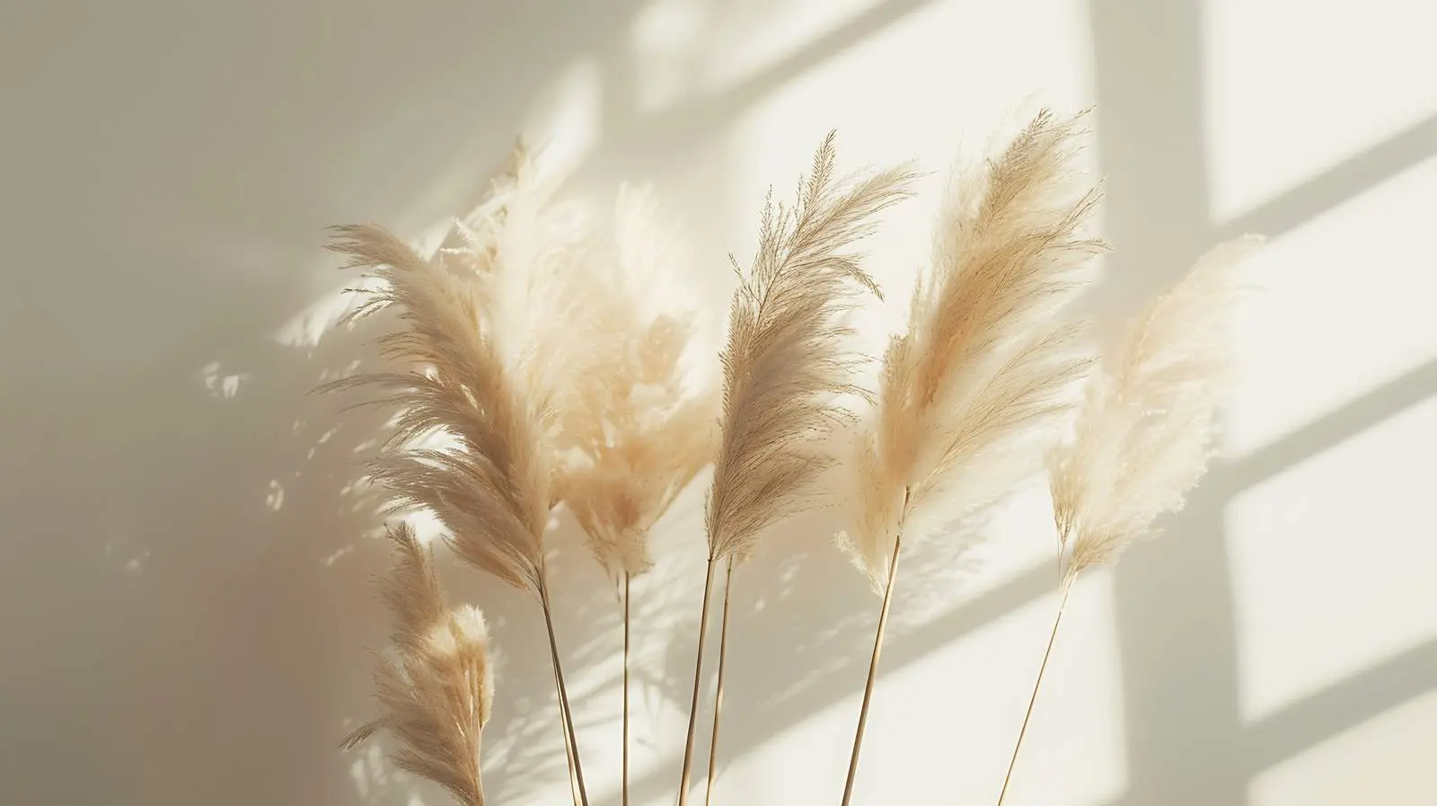 Minimalist Pampas Grass Floral Arrangement — free download from Dotvec
