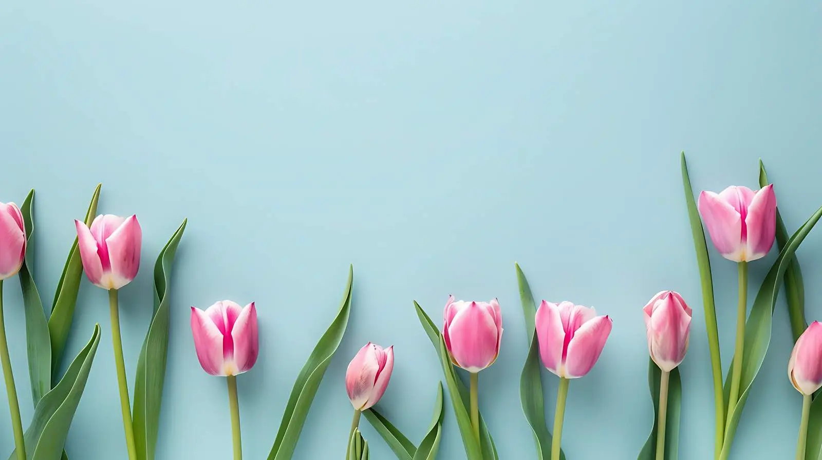 Aesthetic Minimal Summer Floral Composition — free download from Dotvec