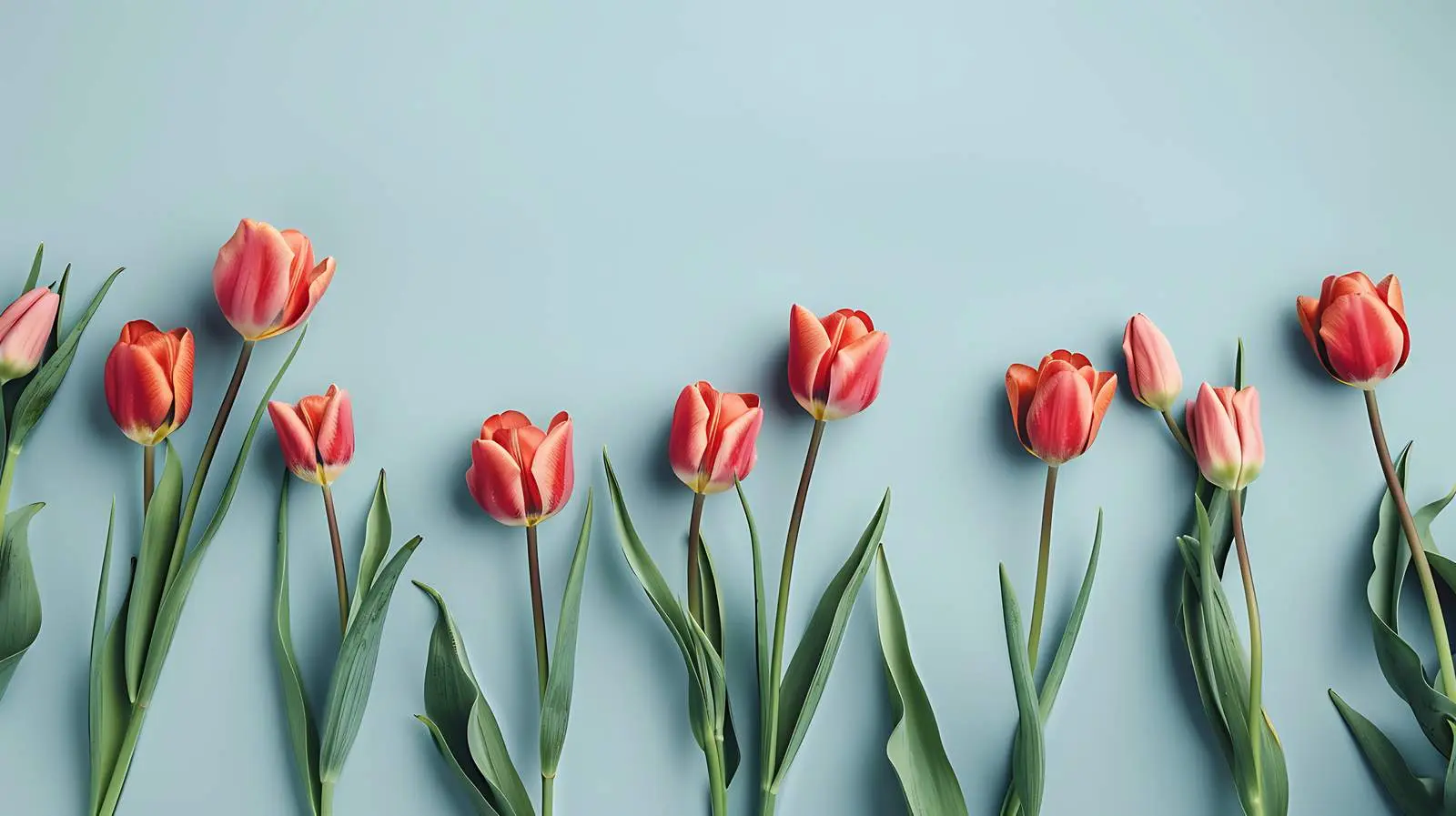 Minimal Summer Floral Composition in Blank Frame — free download from Dotvec