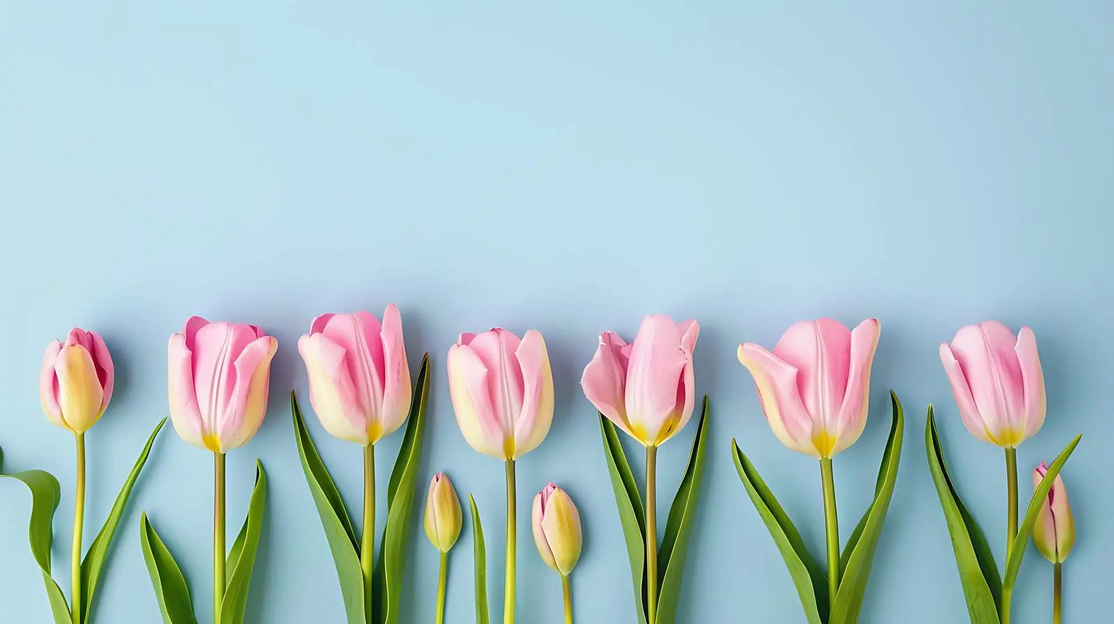 Minimalist Summer Floral Composition with Blank Frame — free download from Dotvec