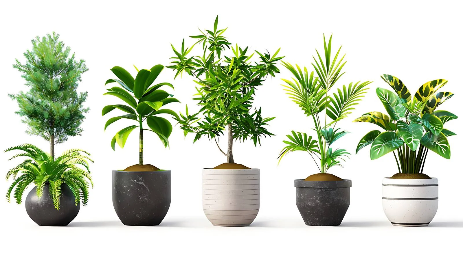 Illustrated Potted Plant Collection — free download from Dotvec