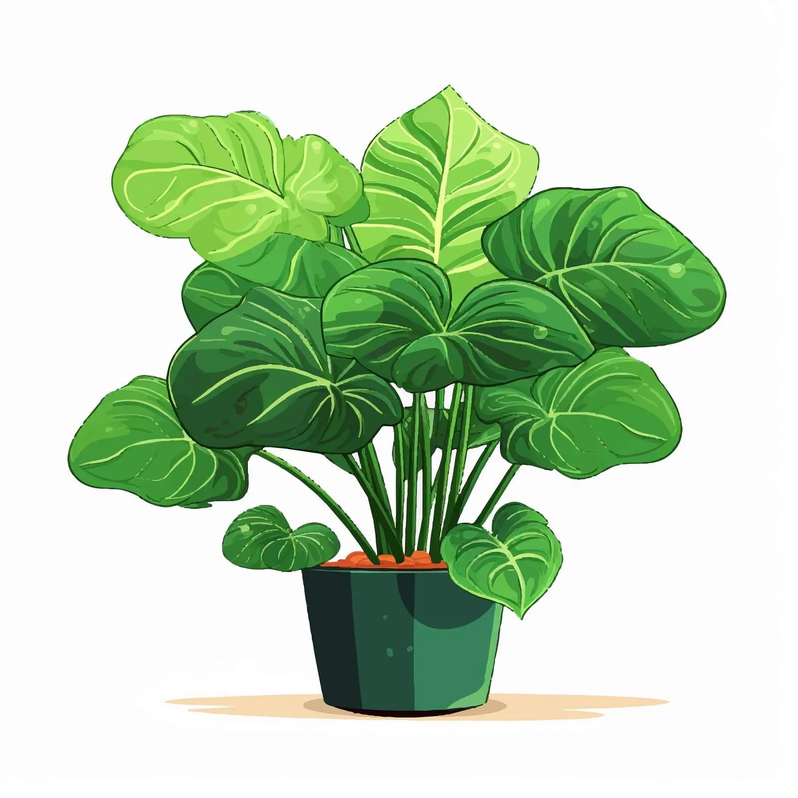 Alocasia Macrorrhizos Potted House Plant — free download from Dotvec