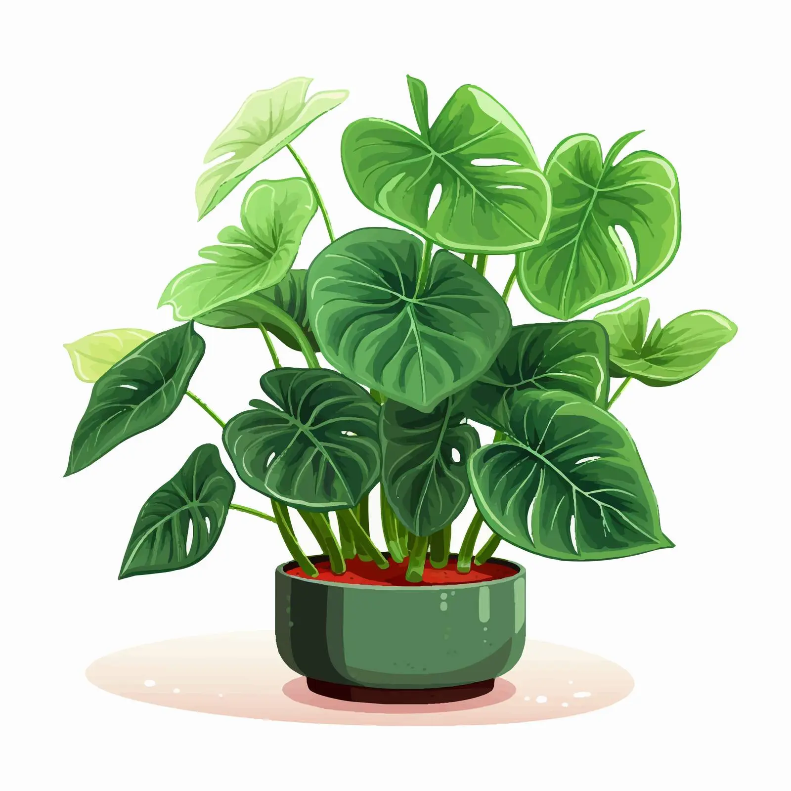 Green Leaf Alocasia Macrorrhizos House Plant — free download from Dotvec